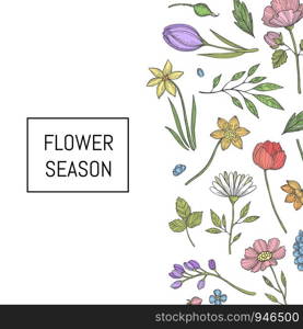 Vector hand drawn flowers background with place for text illustration. Vector hand drawn flowers background illustration banner