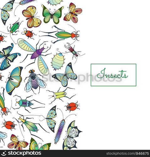 Vector hand drawn insects background with place for text illustration. Web banner for website. Vector hand drawn insects background with place for text illustration