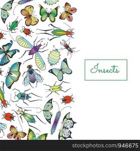 Vector hand drawn insects background with place for text illustration. Web banner for website. Vector hand drawn insects background with place for text illustration