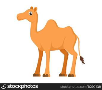 Vector illustration of cute camel cartoon on white background