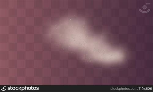 Vector illustration of dust and sand powder explosion scattered isolated on transparent background. Texture of thick desert dust fog and clouds smoke.