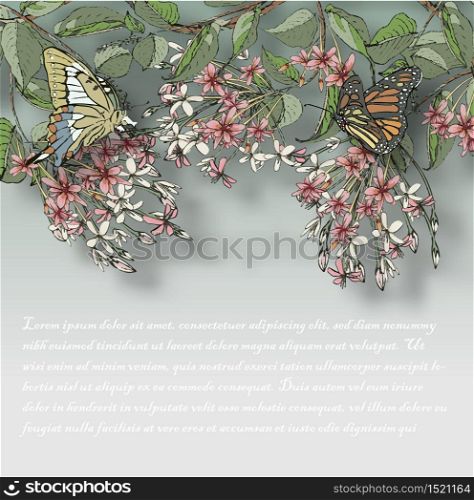 Vector illustration of hand painted flowers Rangoon creeper, colorful and butterfly background.