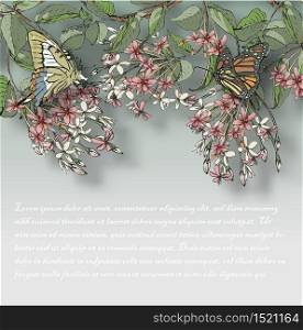 Vector illustration of hand painted flowers Rangoon creeper, colorful and butterfly background.