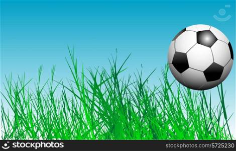 Vector illustration of soccer ball in the grass
