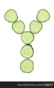 Vegetable Alphabet of chopped cucumber - letter Y