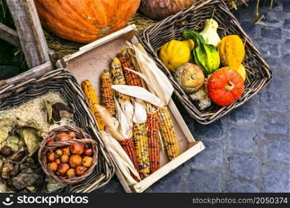 Vegetable and fruit market Campo di Fiori at Rome. Variety of mix vegetables close up. healthy organic food -pumpkins and corn