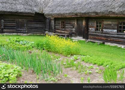 vegetable beds in garden near old wooden house