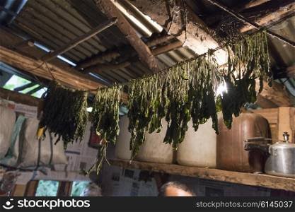 Vegetable drying in traditional domestic kitchen, Punakha, Bhutan