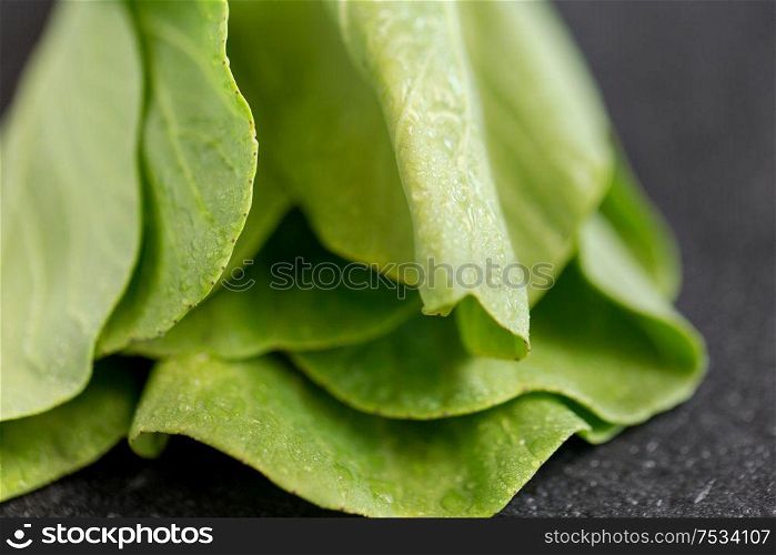vegetable, food and culinary concept - close up of bok choy chinese cabbage on slate stone background. close up of bok choy cabbage on slate background
