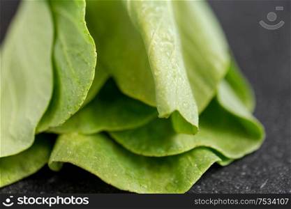 vegetable, food and culinary concept - close up of bok choy chinese cabbage on slate stone background. close up of bok choy cabbage on slate background