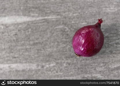 vegetable, food and culinary concept - red onion on wet slate stone background. red onion on wet slate stone background