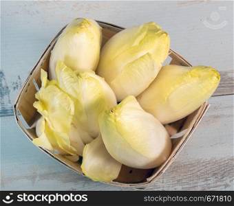 vegetable organic endives from a France or Belgium