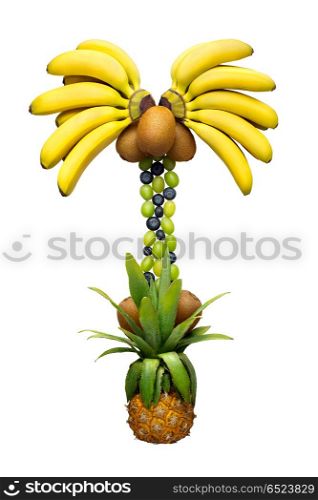 Vegetable palm.. Creative concept photo of palm made of fruits and vegetables on white background.