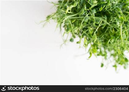 Vegetable pea sprouts, microgreens on white background, vegan health superfood. Top view, close-up, place for an inscription. Vegetable pea sprouts, microgreens on white background, vegan health superfood. Top view, close-up, place for an inscription.