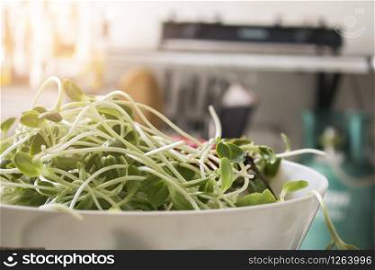 Vegetable salad, Healthy food