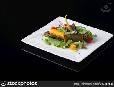 vegetable salad in a square plate on a black background, isolated. dish on black background