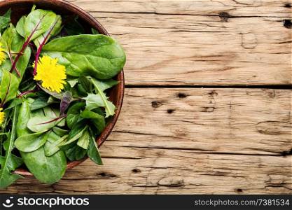 Vegetable salad with fresh lettuce.Healthy spring salad.Mixed leaf salad. Fresh green salad