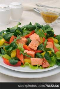 Vegetable salad with slices of salmon, roots, arugula, tomatoes and peppers, seasoned with mustard sauce with curry