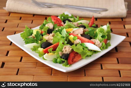 Vegetable salad with tuna, egg and olives