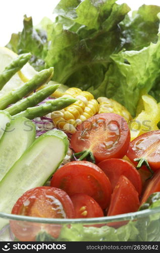 Vegetable salada