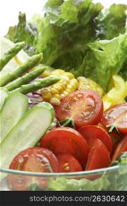 Vegetable salada