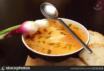 vegetable soup with onion and silver spoon