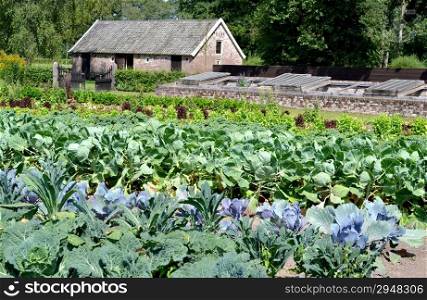 Vegetables and flowers at Castle Hackfort garden in Vorden, The Netherlands.