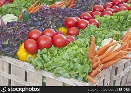 vegetables at a farmer market. variety of vegetables