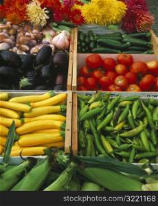Vegetables at an Outdoor Market