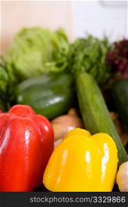 Vegetables (bell pepper, cucumber, salad)