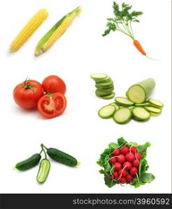 Vegetables collection. Element of design.