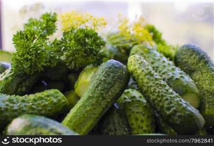 vegetables cucumbers fresh