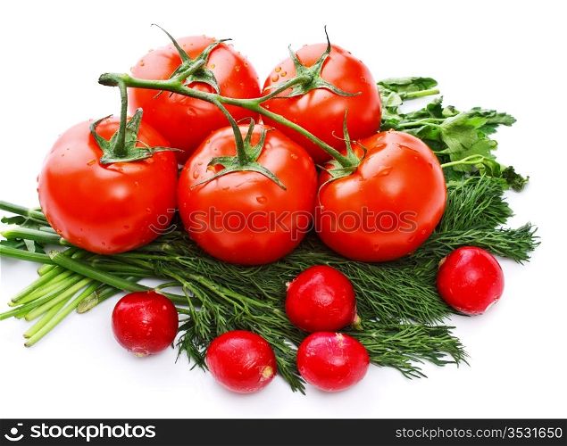 vegetables for salad, isolated on white