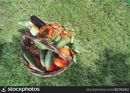 Vegetables in a wooden basket on green meadow. Day light