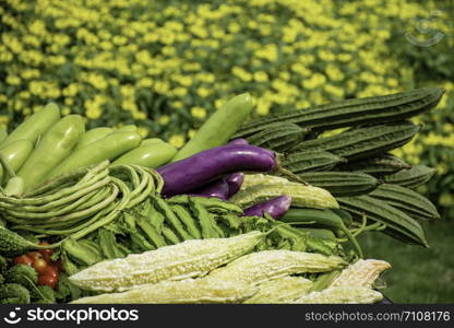 Vegetables in Thailand Eggplant , Purple Winged Bean , Bitter gourd and Winter melon.