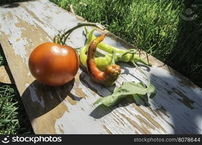 Vegetables, tomatoes and peppers on vintage wooden background.