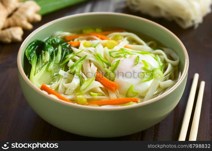 Vegetarian Asian rice noodle soup with bok choy, carrot, spring onion and a poached egg, photographed with natural light (Selective Focus, Focus in the middle of the soup)