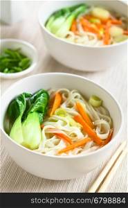 Vegetarian Asian rice noodle soup with bok choy, carrots and spring onion, photographed with natural light (Selective Focus, Focus in the middle of the first soup)