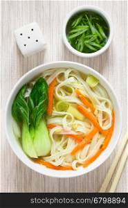 Vegetarian Asian rice noodle soup with bok choy, carrots and spring onion, photographed overhead with natural light (Selective Focus, Focus on the top of the soup)
