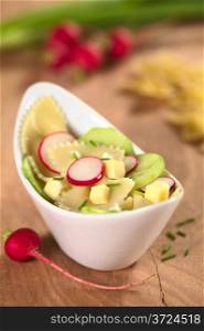 Vegetarian bow tie pasta salad with cucumber, radish, cheese and chives (Selective Focus, Focus on the front of the radish slice in the middle and the cucumber slice on the right). Bow Tie Pasta Salad with Cucumber and Radish