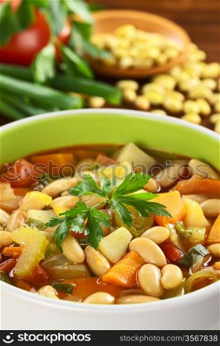 Vegetarian canary bean soup made of canary beans, celery, carrot, potato, tomato, leek, green onions garnished with parsley (Selective Focus, Focus one third into the soup and the front of the parsley) . Vegetarian Canary Bean Soup
