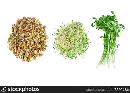 vegetarian food of alfalfa,snow peas and lentils isolated on white