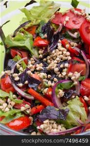 vegetarian fresh salad with vegetables, herbs and sprouts of buckwheat. healthy raw eating food. macro shor