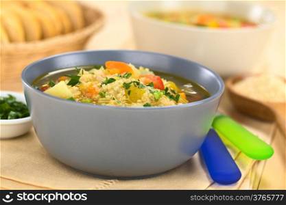 Vegetarian quinoa soup with carrot, potato, celery, pumpkin, leek and tomato, sprinkled with parsley and scallion (Selective Focus, Focus one third into the soup)