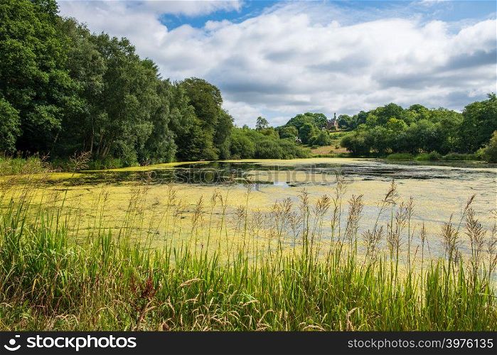 Vegetation and Pond near the Admissions Hut into Lyme Park, Disley in Cheshire, United Kingdom