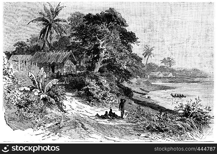 Vegetation at the mouth of the Cameroon River, vintage engraved illustration. Journal des Voyage, Travel Journal, (1880-81).