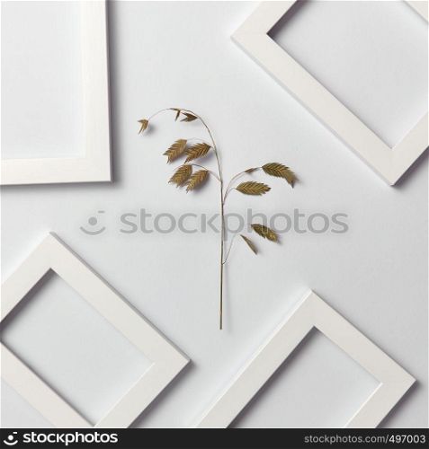Vegetative natural composition with empty frames for your text and organic leaf branch on a light gray background. Top view. Greeting card.. Herbal decorative pattern of leaf branch and empty frames on a light background.