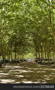 Vehicles parked on the both sides of a road, Place des Quinconces, Bordeaux, France