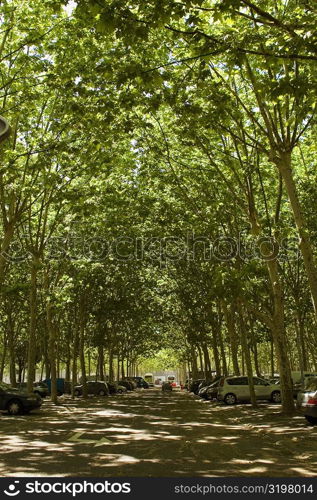 Vehicles parked on the both sides of a road, Place des Quinconces, Bordeaux, France