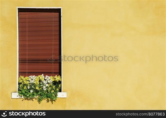 Venetian window with yellow flowers. Oragne color wall